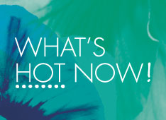 Whats Hot Now